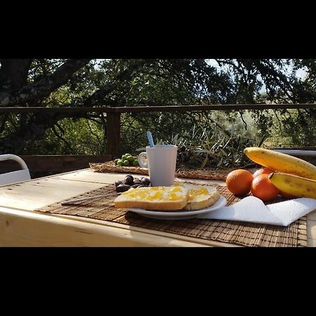 Cabana Del Arbol Lavagarural Villanueva del Rosario Ngoại thất bức ảnh