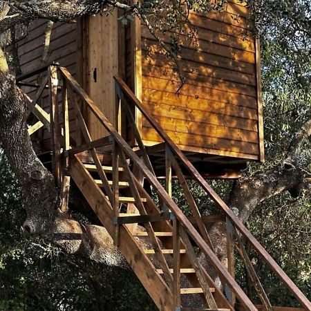 Cabana Del Arbol Lavagarural Villanueva del Rosario Ngoại thất bức ảnh