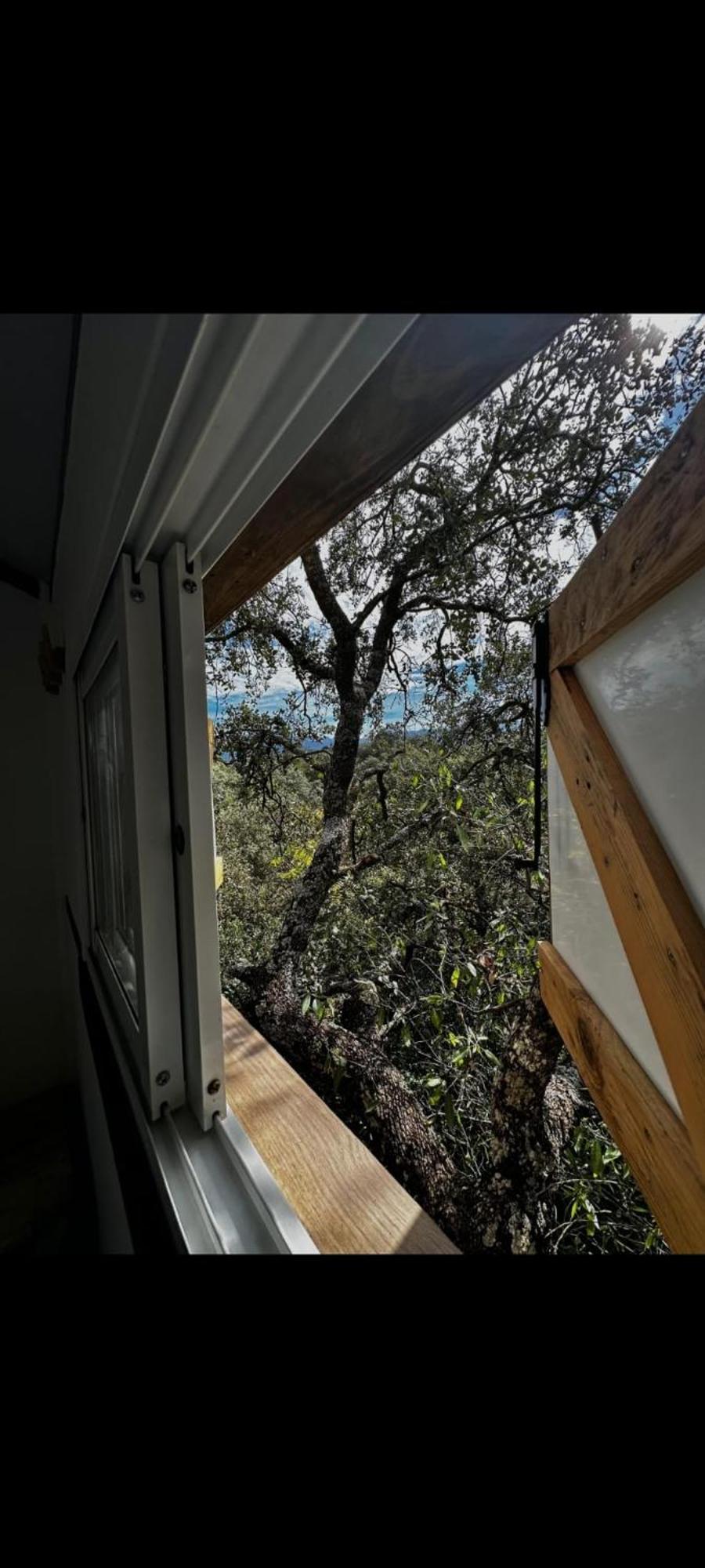 Cabana Del Arbol Lavagarural Villanueva del Rosario Ngoại thất bức ảnh