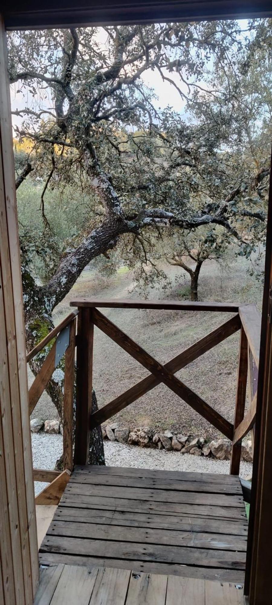 Cabana Del Arbol Lavagarural Villanueva del Rosario Ngoại thất bức ảnh