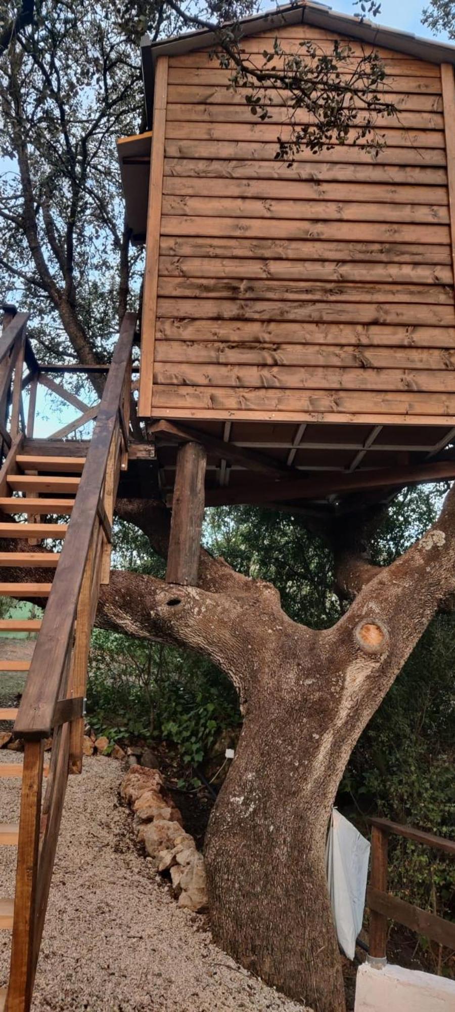 Cabana Del Arbol Lavagarural Villanueva del Rosario Ngoại thất bức ảnh